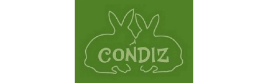 CONDIZ